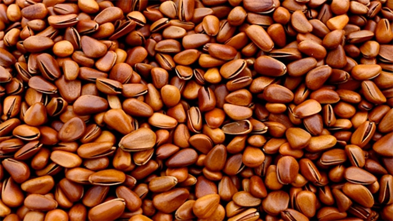 64盤熱風旋轉(zhuǎn)爐 上海誠若機械有限公司旋轉(zhuǎn)爐廠家