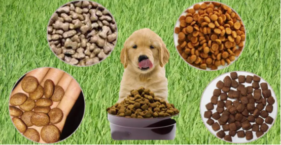 中國將成為世界最大的寵物食品銷售市場