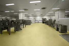 青白江特色冷鏈食材加工廠房現(xiàn)房出租