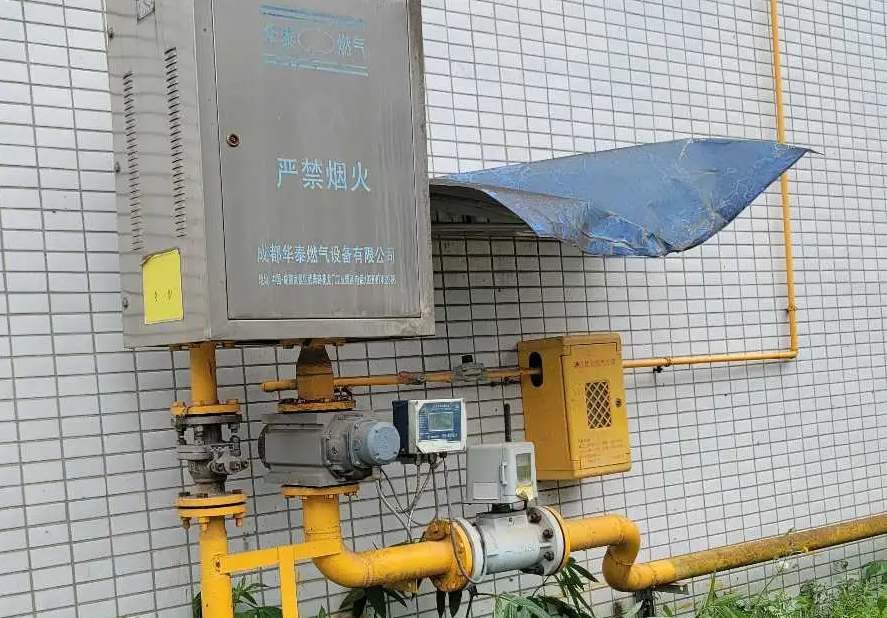 (出租) 出租蒲江標(biāo)準(zhǔn)廠房 通蒸汽水電氣，有環(huán)評(píng)，可整租可分租，可開票