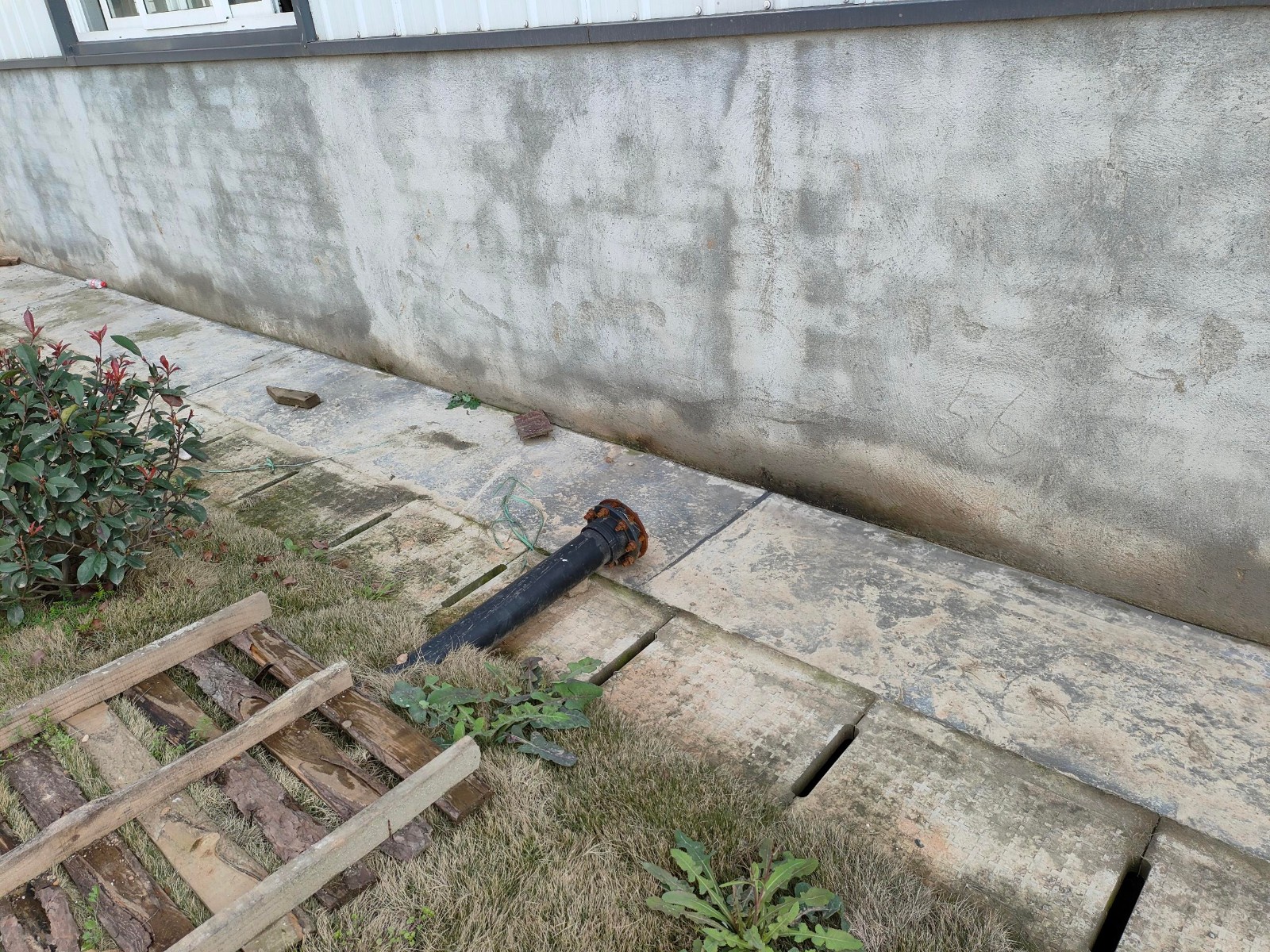 蒲江2000平米糖果制品生產(chǎn)廠(chǎng)房出租